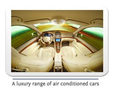 inside of a luxury mercedes car